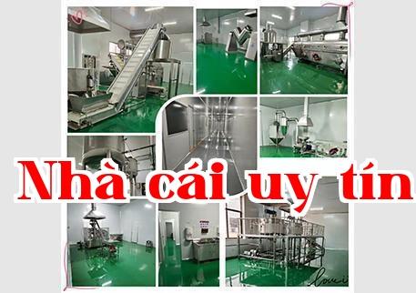 Ưu thế doanh nghiệp Ưu thế doanh nghiệp